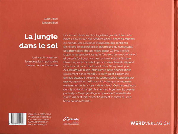 La jungle dans le sol – Bild 2