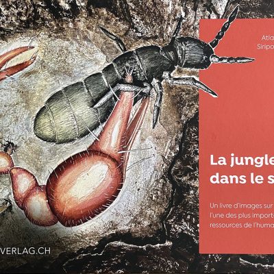 La jungle dans le sol