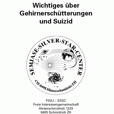 Wichtiges über Gehirnerschütterungen und Suizid
