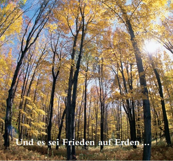 Und es sei Frieden auf Erden ...