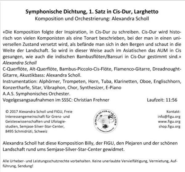 Symphonische Dichtung 1. Satz Cis-Dur Larghetto – Bild 2