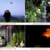 Postkarte 1070P