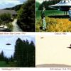 Postkarte 1074P